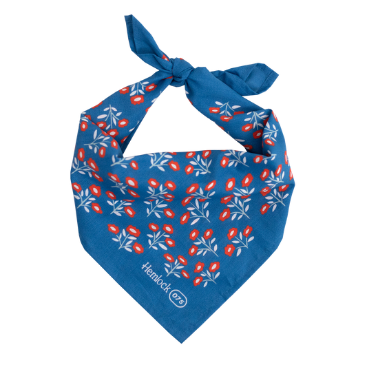 No. 075 Juliet Bandana